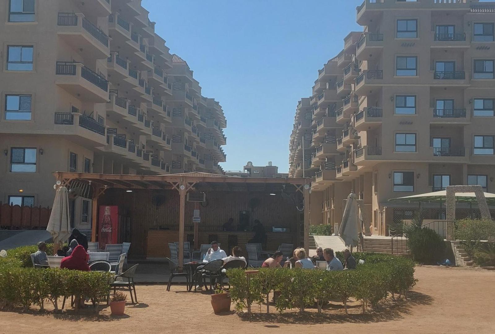 Comfort Zone At Turtles * Hurghada