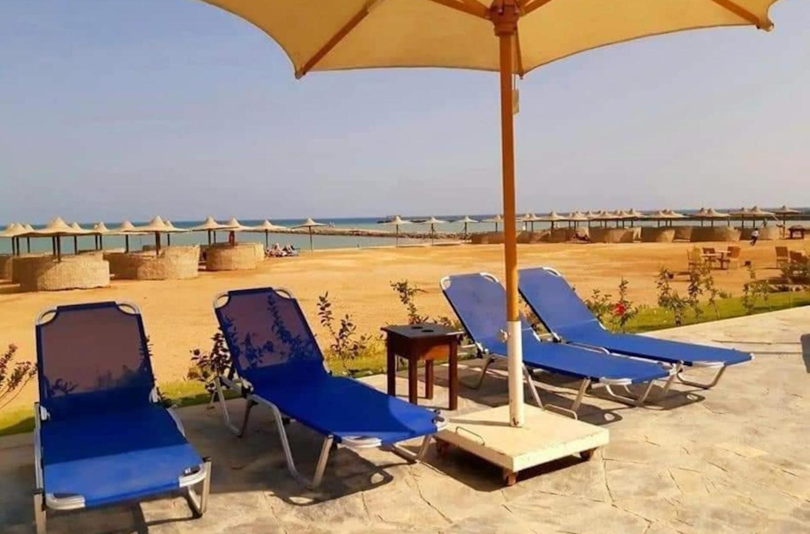 Comfort Zone At Turtles * Hurghada